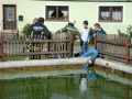UAUe_2009_0050
