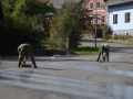 UAUe_2009_0066